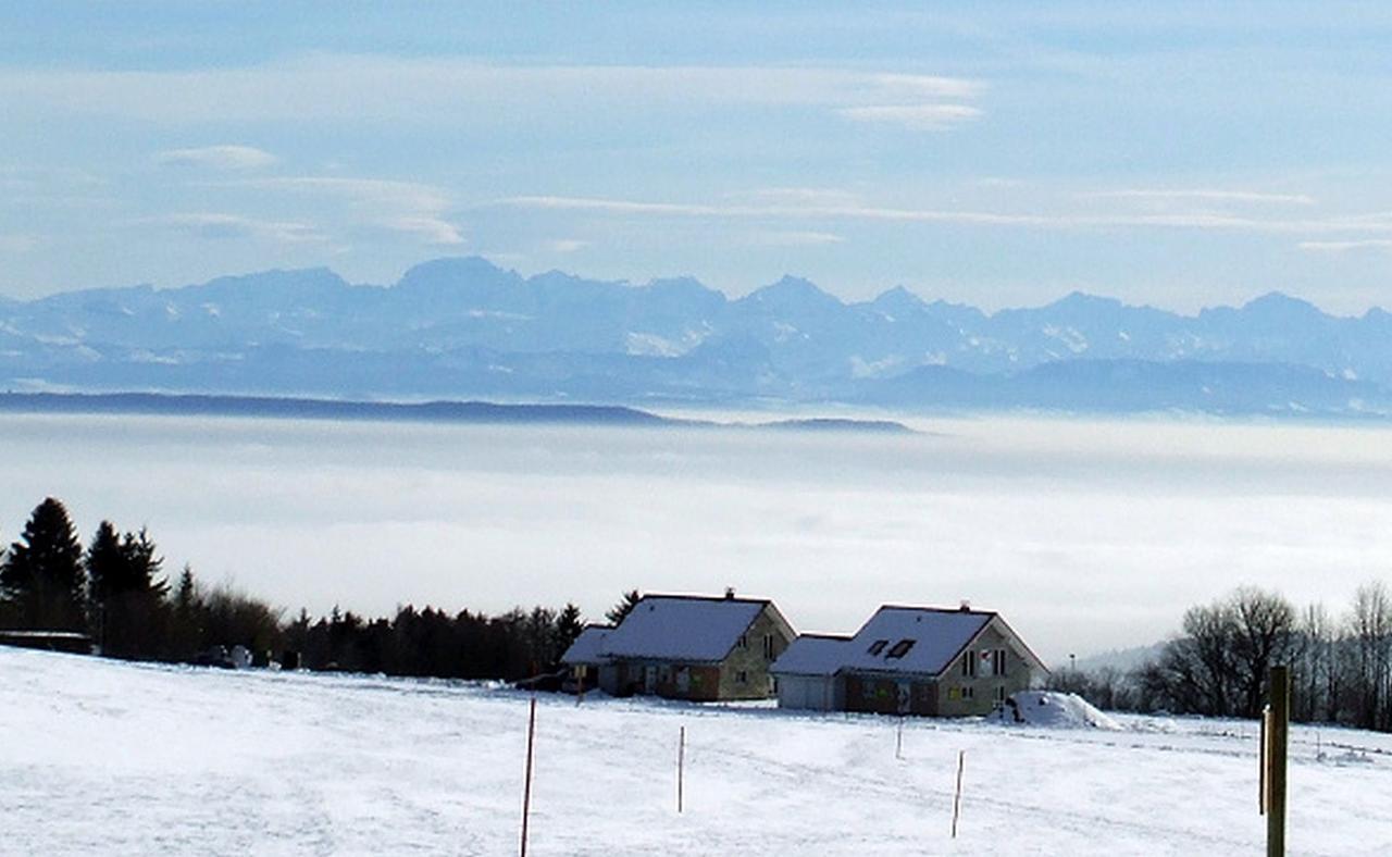 Pension Linde Höchenschwand Extérieur photo